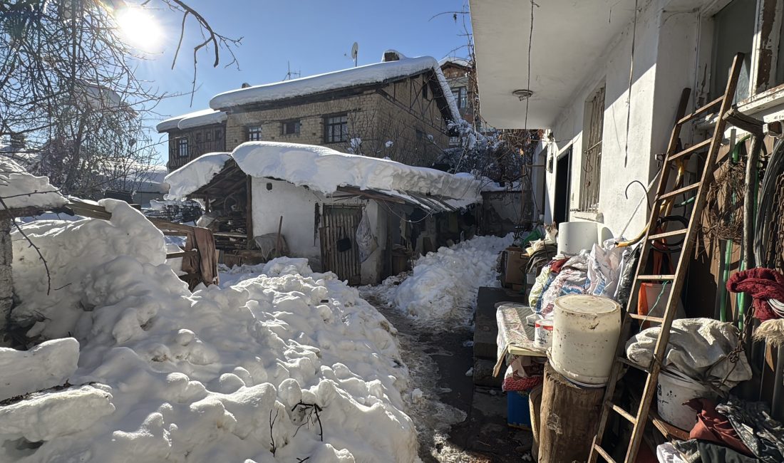 Karabük merkeze bağlı Bulak köyünde 80 yaşındaki bir kadın, evinin