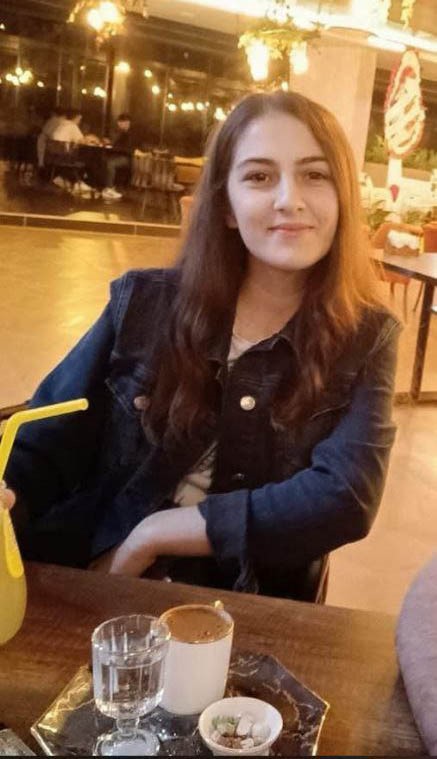 araç