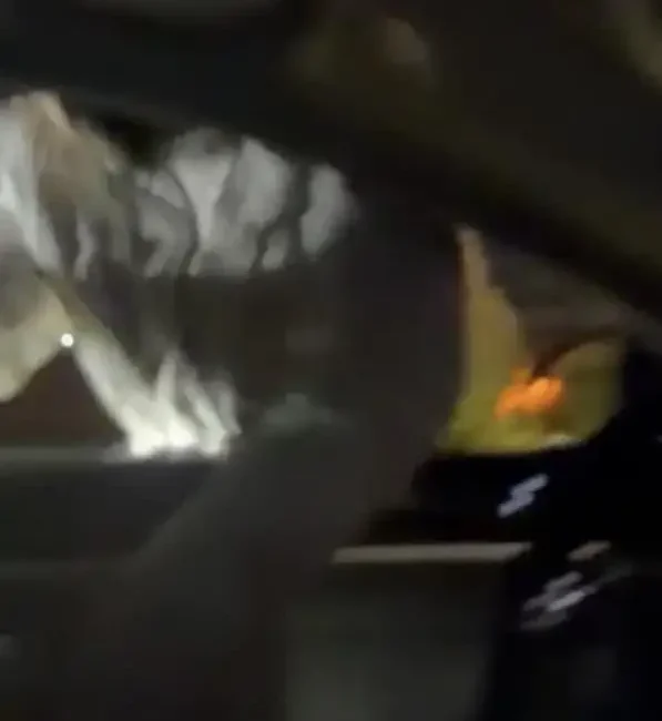 Konya’da yol verme nedeniyle çıkan tartışma kısa sürede bıçaklı saldırıya