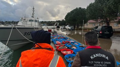 Kocaeli’nin Kandıra ilçesinde yapılan denetimlerde, yasa dışı yollarla avlandığı belirlenen