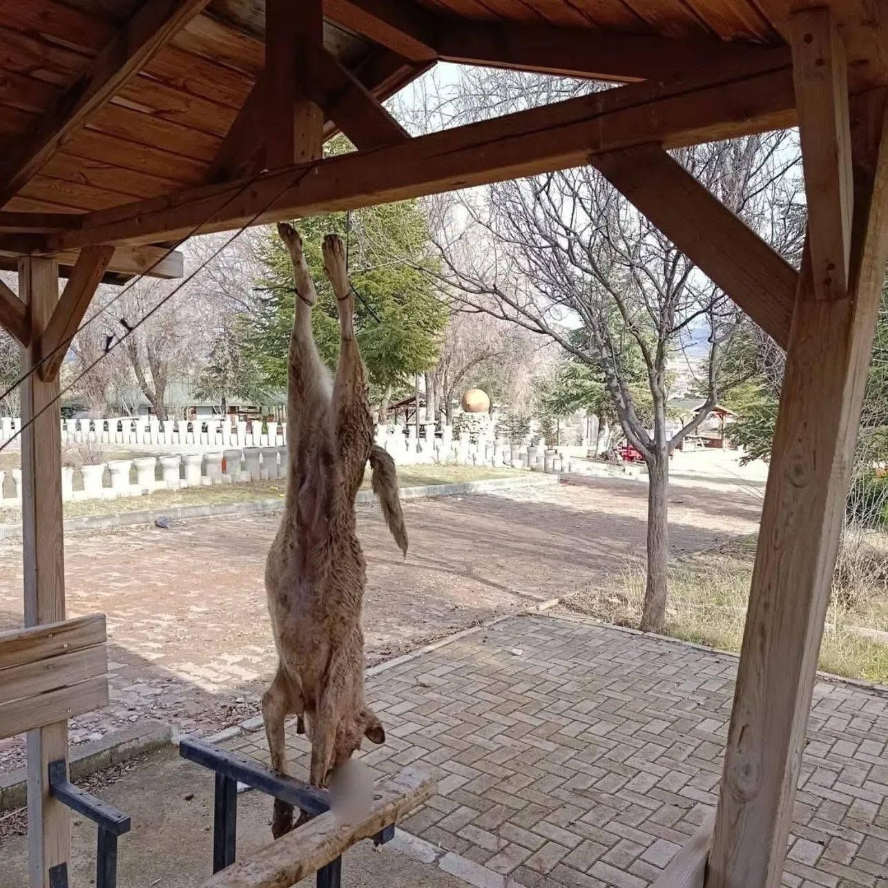 Afyonkarahisar’ın Bolvadin ilçesine bağlı Dişli beldesinde bir parktaki çardağa asılan