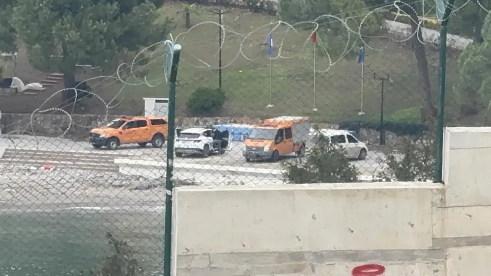 cansız
