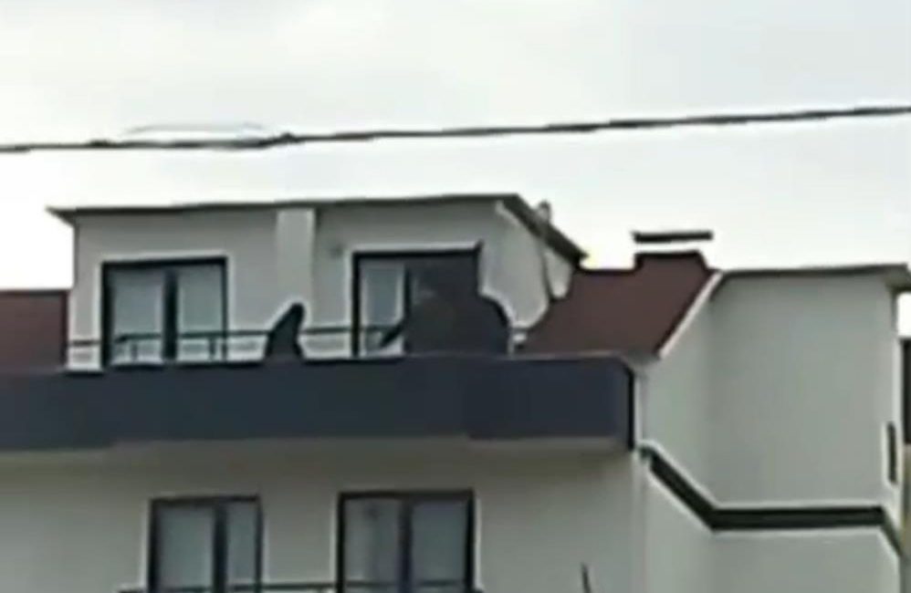 Kocaeli İl Emniyet Müdürlüğü koordinesinde yürütülen operasyonlarda, FETÖ/PDY silahlı terör