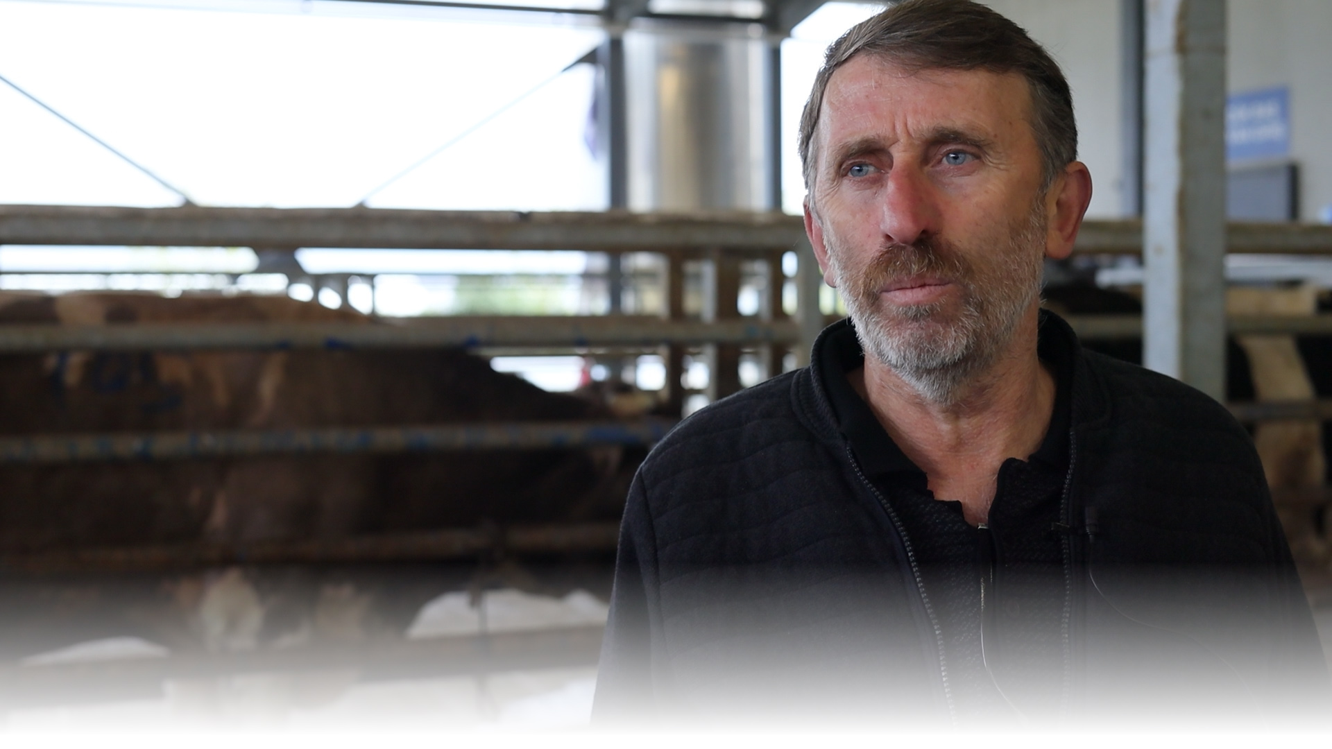 Kocaeli Büyükşehir Belediyesi, modern ve donanımlı mezbahasıyla kentte sağlıklı ve