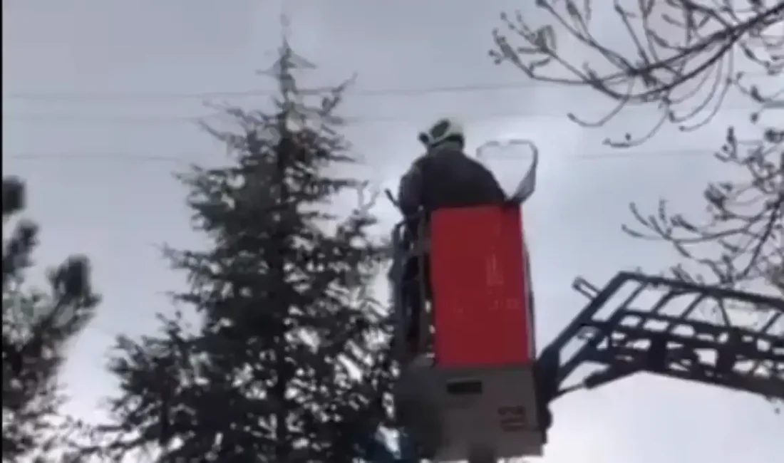 Kocaeli’nin Kartepe ilçesinde yer alan Ormanya Tabiat Parkı’nda mahsur kalan