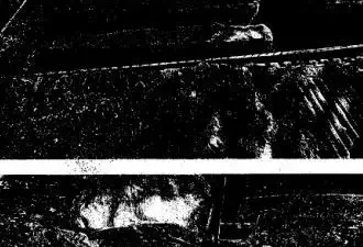 Kocaeli’nin İzmit ilçesi Yenidoğan Mahallesi’nde yürütülen çalışmalar sırasında, bir işyerinin