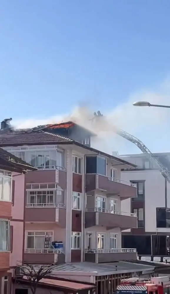 çatı