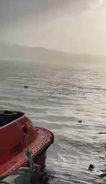 Kocaeli’nin Körfez ilçesinde bulunan DP World Evyap Limanı çevresinde denize