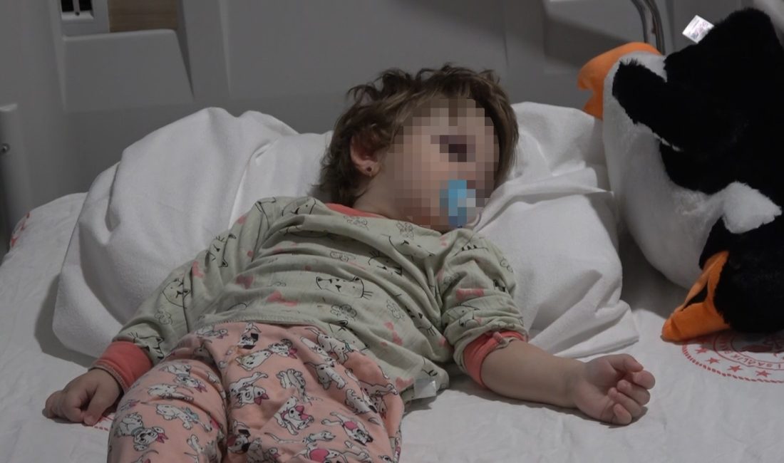 Yalova’nın Çınarcık ilçesinde komşular arasında yaşanan husumet saldırıya dönüştü. Kucağındaki