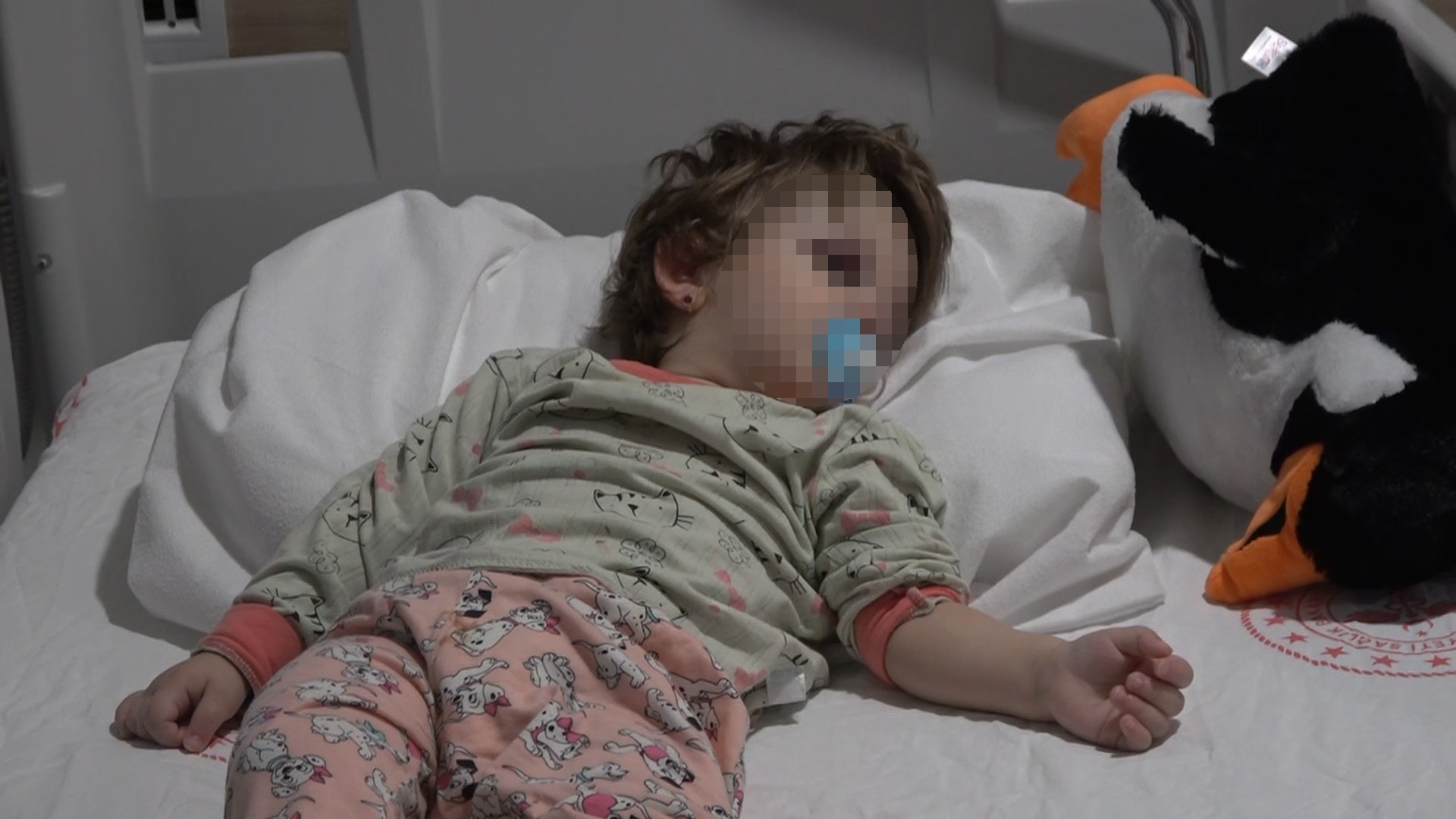 Yalova’nın Çınarcık ilçesinde komşular arasında yaşanan husumet saldırıya dönüştü. Kucağındaki