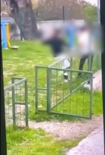 Bodrum’da bir çocuğun akranı tarafından darbedilerek bayıltıldığı olaya ilişkin 2