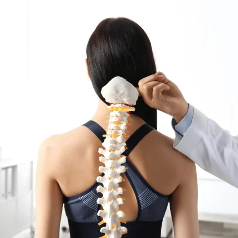 Fizik Tedavi ve Rehabilitasyon Uzmanı Prof. Dr. Turan Uslu, omurga