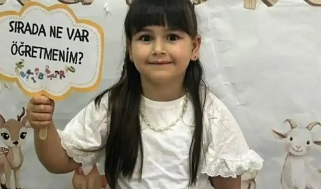 Kocaeli’nin Gebze ilçesinde okul çıkışı servise binmek için yolun karşısına