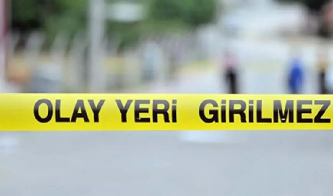 İstanbul Fatih’te sokak üzerinde yürüyen yaşlı kadın, geri manevra yapan