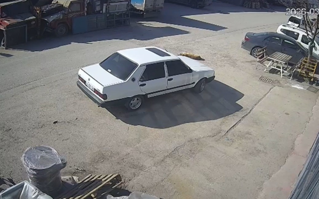 Bolu’da yolda yatan köpeğin üzerinden otomobiliyle geçen sürücü, adli kontrol