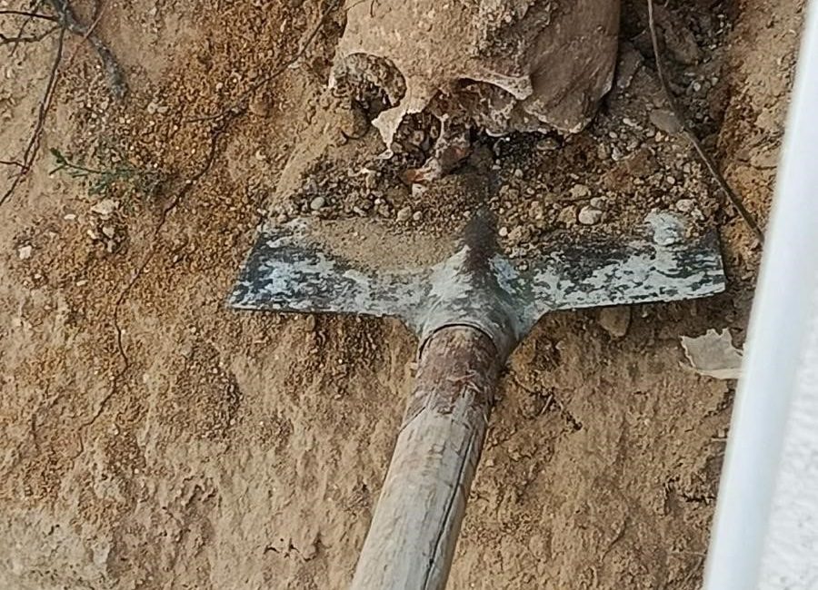 Kocaeli’nin Körfez ilçesinde bir sitenin bahçesine fidan dikmek isteyen vatandaşlar,
