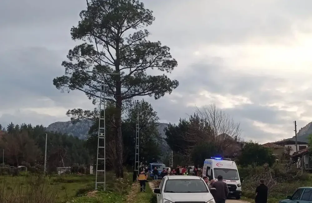 Antalya’nın Serik ilçesinde meydana gelen olayda, seyir halindeki kamyonetin kasasında