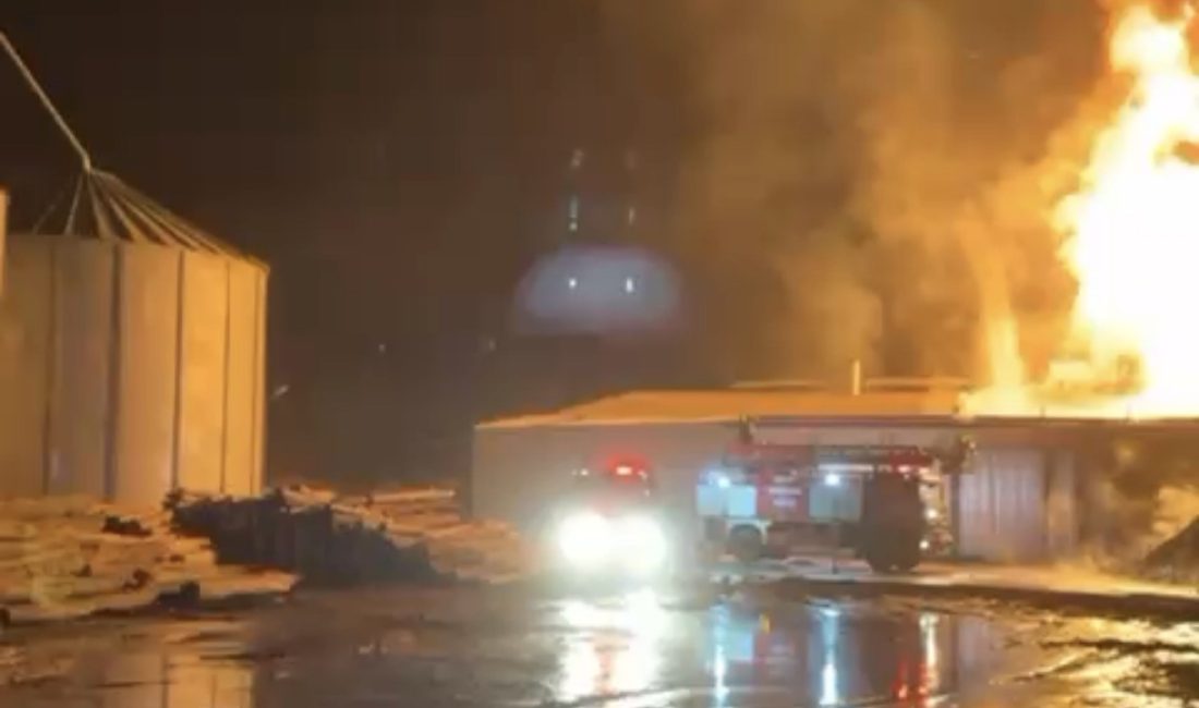 Sakarya'nın Akyazı ilçesinde yağ kazanı patlayan entegre tesisi, alev alev