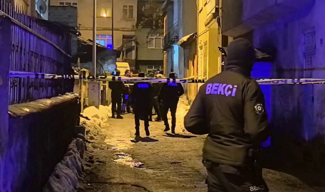 Erzurum’un Yakutiye ilçesinde gece saatlerinde sokak ortasında hareketsiz yatan bir
