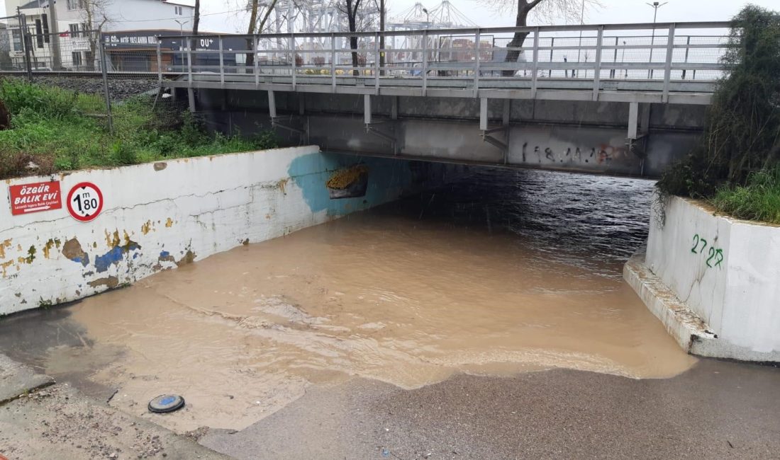Kocaeli'nin Körfez ilçesinde etkili olan sağanak sebebiyle sular altında kalan