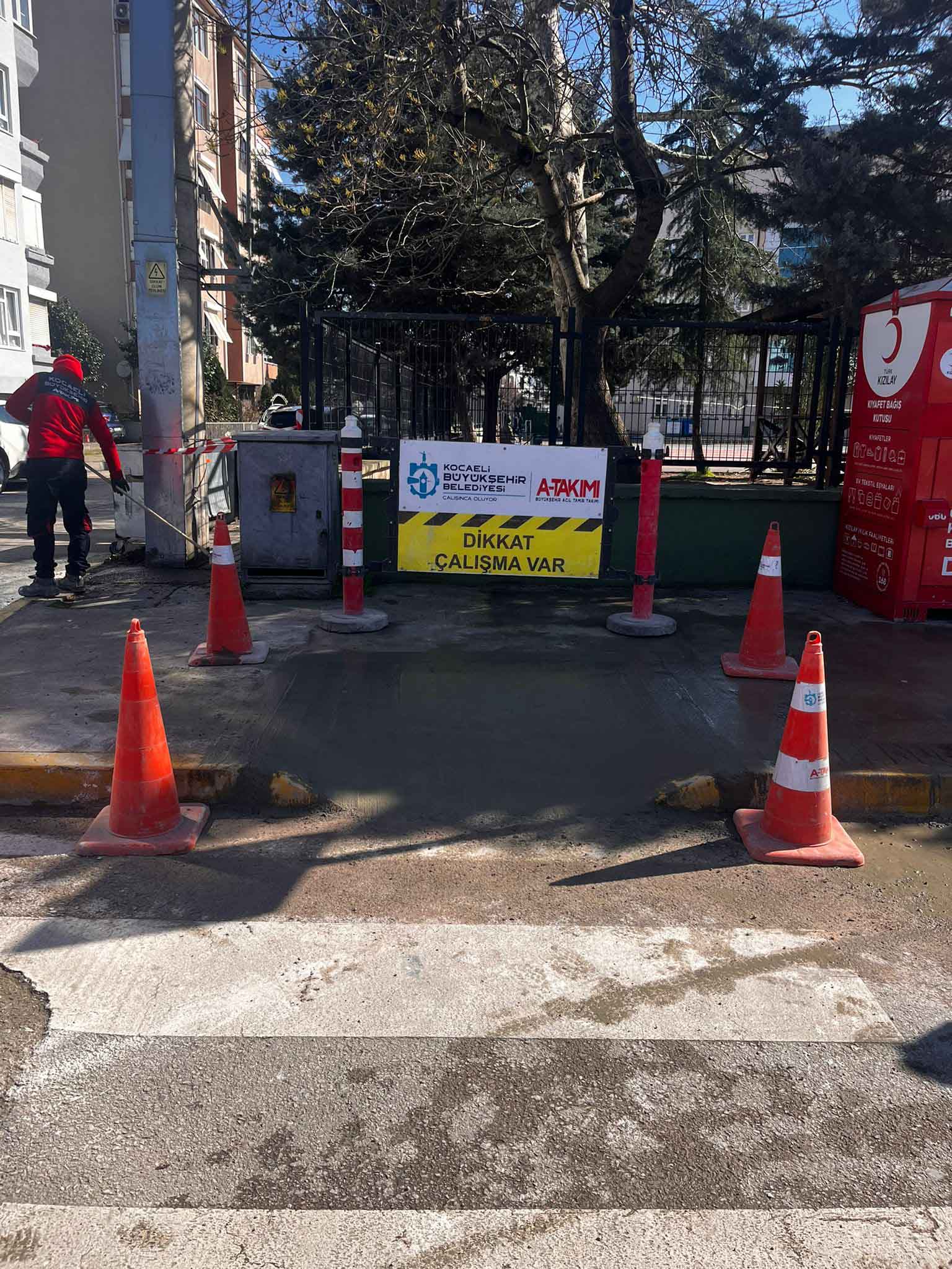 hayat