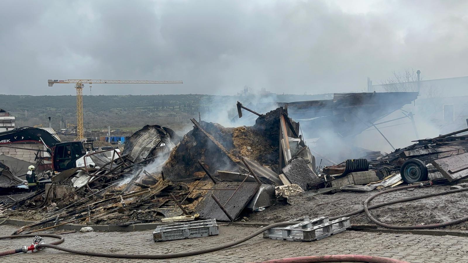 Dilovası'nın Tavşancıl Mahallesi'nde gece saatlerinde çıkan yangın, ahırda bulunan çok