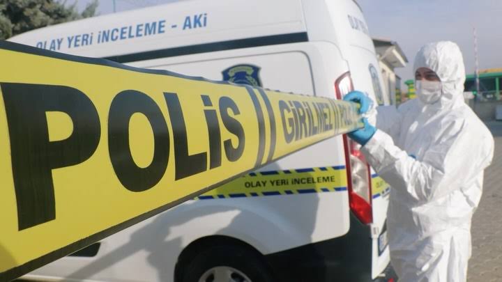 TEM bağlantı yolunun kenarında bulunan yeşillik alanda yeni doğmuş bir