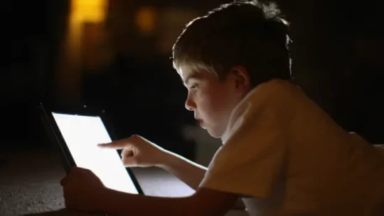 Türkiye Büyük Millet Meclisi (TBMM) tarafından kabul edilen yeni yasal