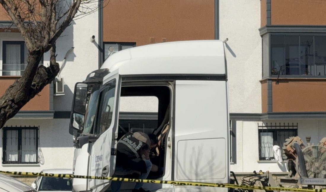 Kocaeli'nin Darıca ilçesinde işe gitmek üzere tırına binen kardeşini, kurduğu