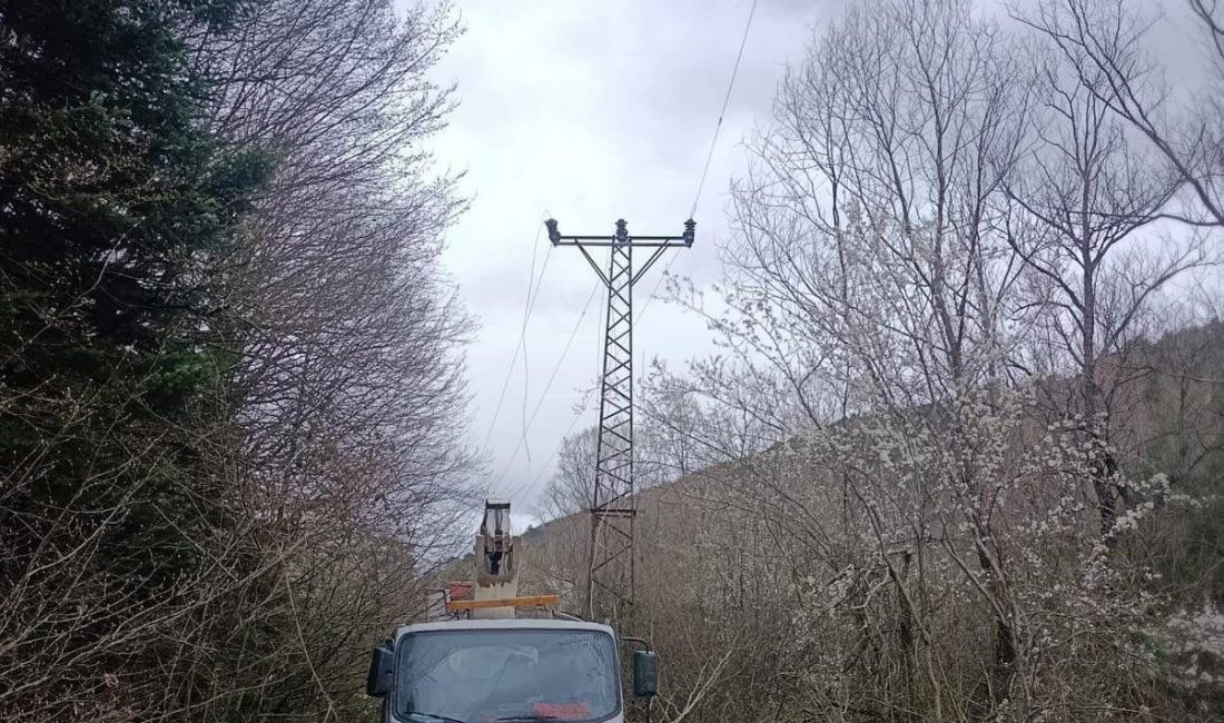 Bilecik’in Bozüyük ilçesinde yüksek gerilim hattındaki arızayı onarmaya çalıştığı sırada