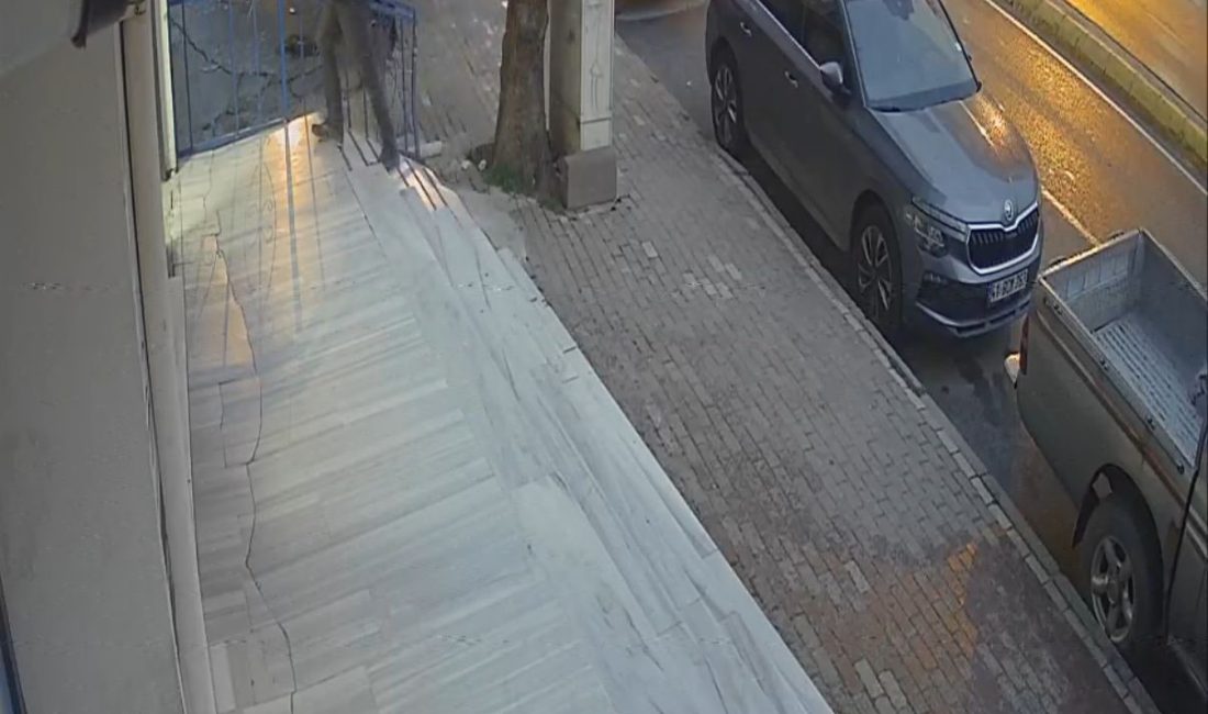 Kocaeli'nin Gebze ilçesinde bir otomobil, hafif ticari araca ve park