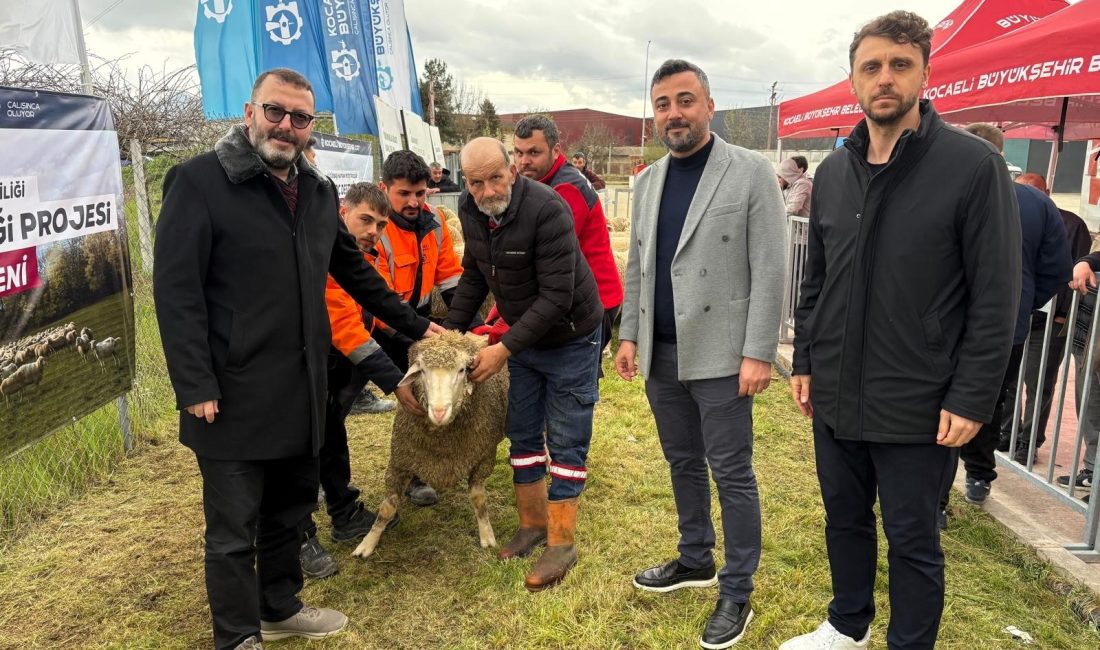 Kocaeli Büyükşehir Belediyesi, hayvancılığı desteklemek ve küçükbaş hayvan yetiştiriciliğinde verimliliği