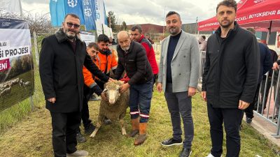 Kocaeli Büyükşehir Belediyesi, hayvancılığı desteklemek ve küçükbaş hayvan yetiştiriciliğinde verimliliği