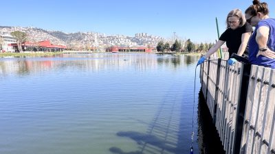 İzmit Millet Bahçesi’ndeki gölette su kalitesini artırmak ve ekosistemi güçlendirmek