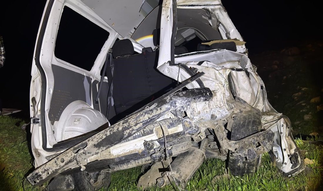 Şırnak’ın Cizre ilçesinde sürücüsünün direksiyon hakimiyetini kaybettiği kamyonetin şarampole yuvarlanması