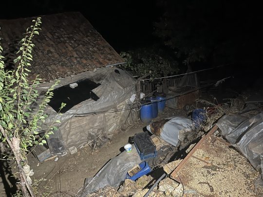 Türkiye son dönemde ardı ardına gelen çocukların işlediği vahşet haberleriyle