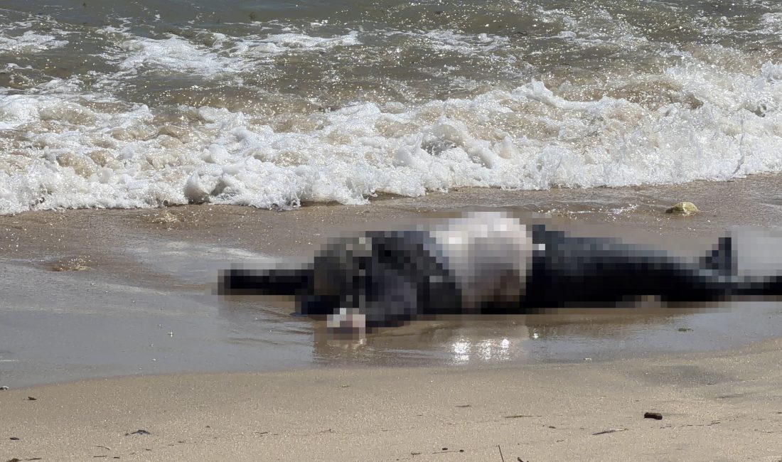 İstanbul’un Arnavutköy ilçesindeki Karaburun Sahili’nde, dalgaların kıyıya sürüklediği bir erkek