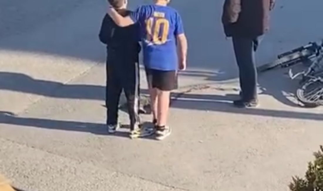 Kocaeli’nin Gölcük ilçesinde, bir otomobilin çarpması sonucu yaralanan kediye mahalleli