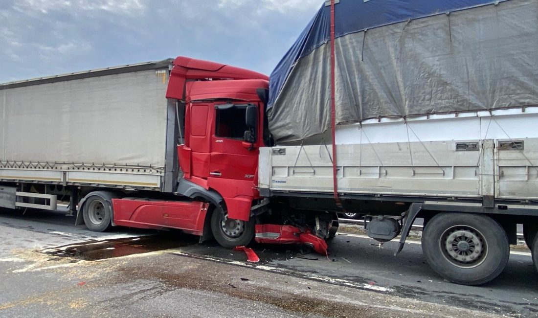 Kocaeli’nin en önemli ulaşım arterlerinden biri olan TEM Otoyolu’nda akşam