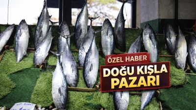 İzmit Doğu Kışla kapalı pazar alanındaki balık tezgahlarında bugün hem
