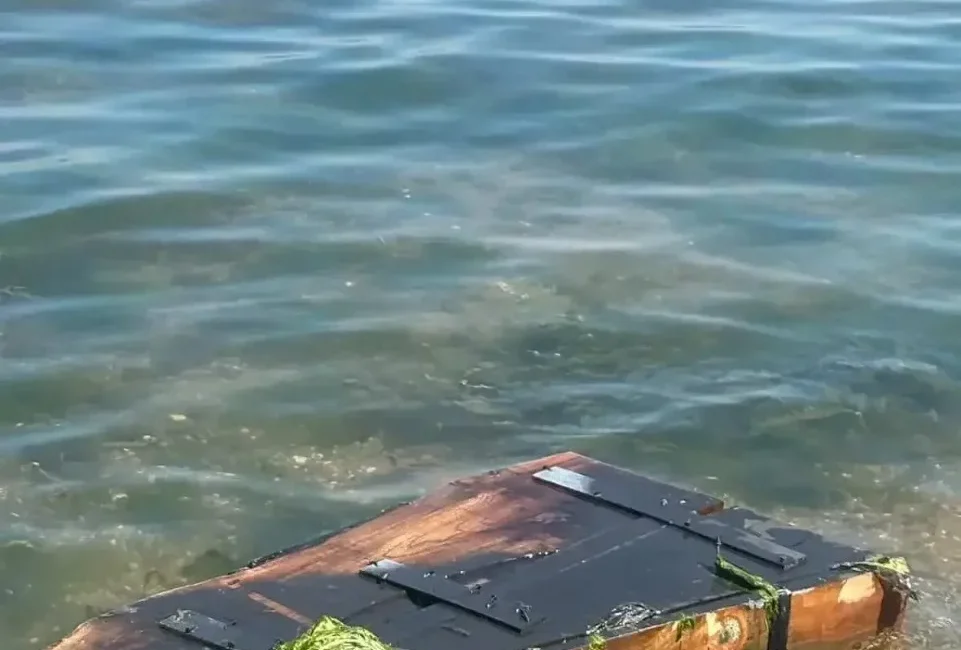 Kocaeli’nin Başiskele ilçesinde Pazar keyfi için sahile gelen vatandaşlar, kıyıya