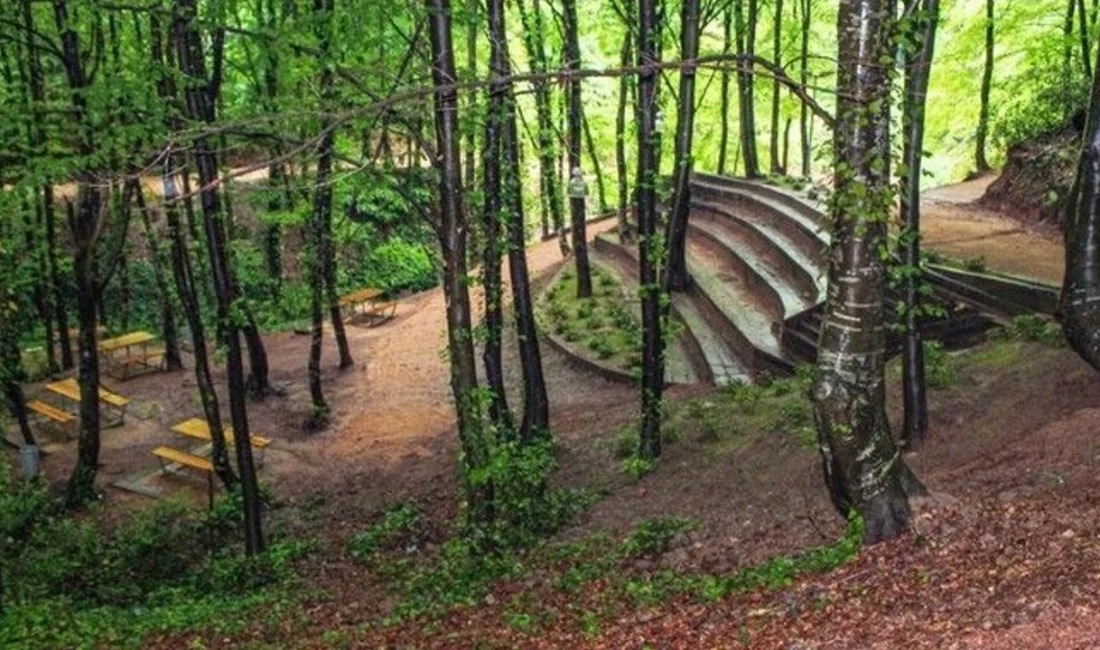 Kocaeli’nin Derince ilçesinde yer alan ve böbrek taşına iyi geldiğine