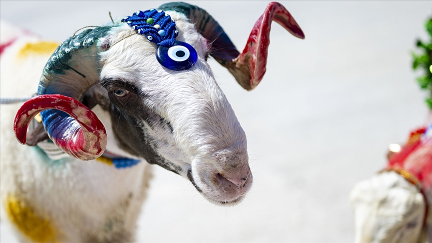Tarımsal Üretim ve Küçükbaş Yetiştiricileri Genel Merkezi (TÜRKYED) Genel Başkanı