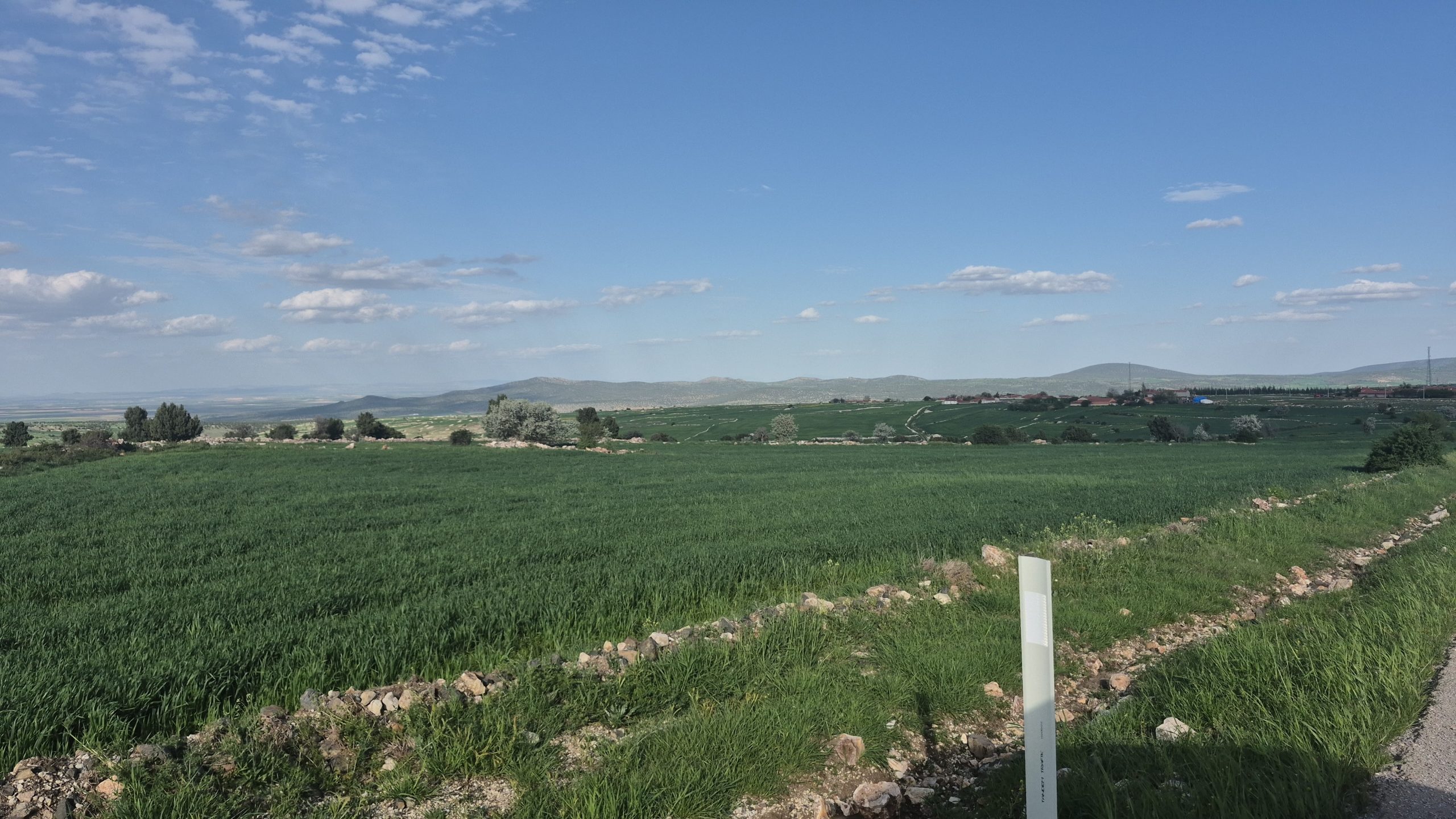 arazi