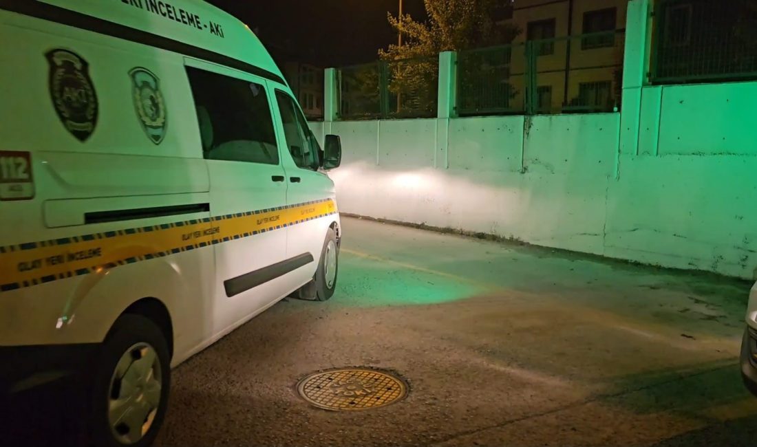 Sakarya'nın Sapanca ilçesindeki lüks bir otelin kapalı havuzunda yüzdüğü sırada