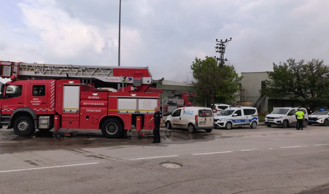 Bursa'nın İnegöl ilçesinde faaliyet gösteren bir sunta fabrikasında yangın çıktı.