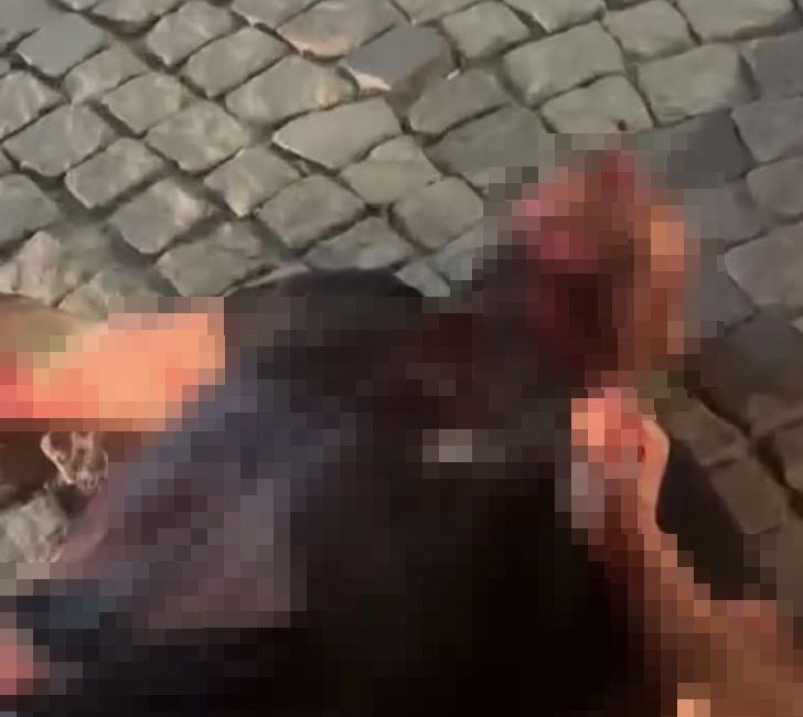 İzmir'in Urla ilçesinde, alacak-verecek meselesi yüzünden husumetli olduğu akrabasının boğazını