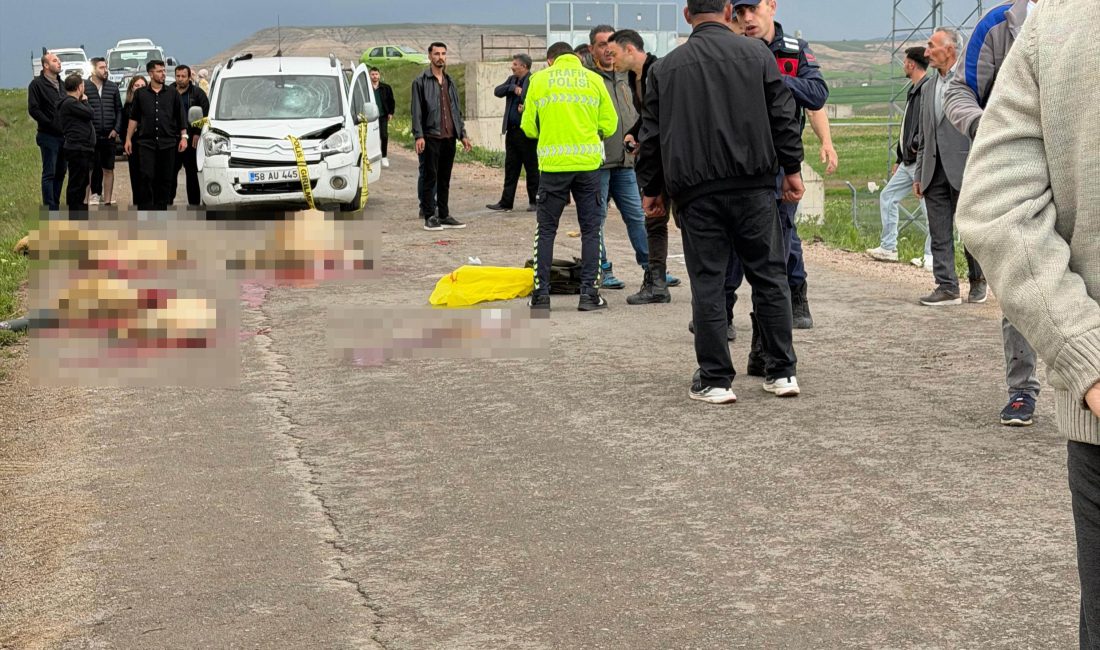 Sivas’ın Kangal ilçesinde yolun karşısına geçirilmeye çalışılan koyun sürüsünün arasına