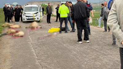 Sivas’ın Kangal ilçesinde yolun karşısına geçirilmeye çalışılan koyun sürüsünün arasına