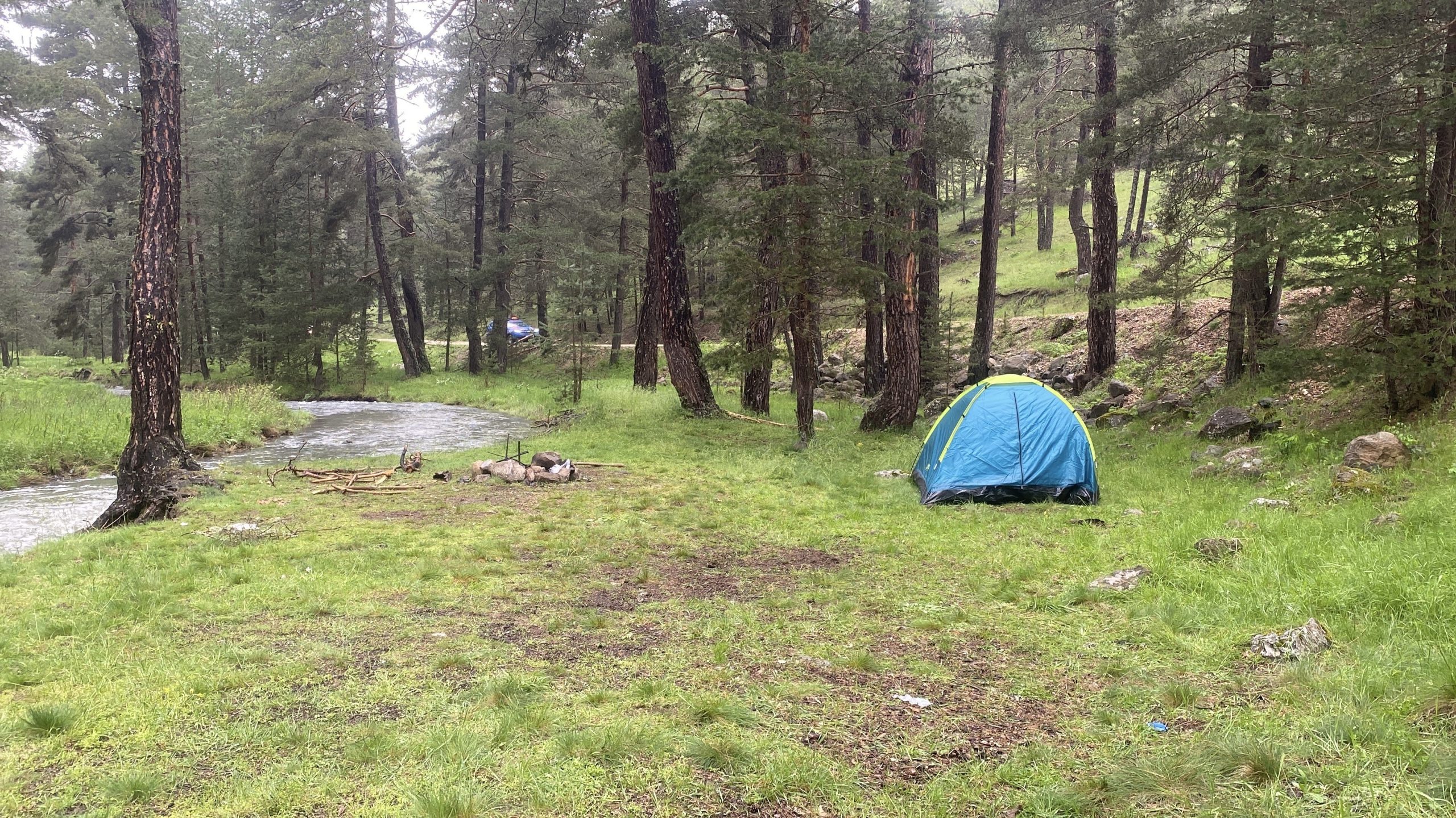 Bolu'nun Aladağlar bölgesinde piknik yaptıkları sırada sığındıkları çadırın yanındaki ağaca